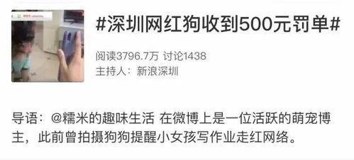 网红杯子爆料视频播放,揭秘幕后真相与热门话题