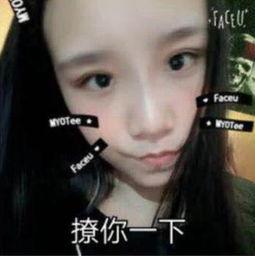 网友爆料女友怎么办呢视频,如何应对感情危机？